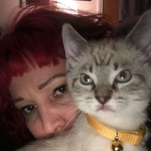 Meet your Posher, Jamie